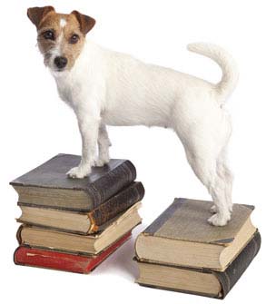Jack Russell Terrier pe cărți