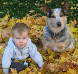 câine și copil