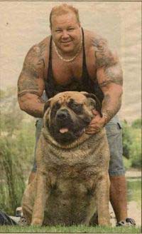 tip mare în tatuaje și un câine mare